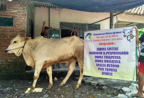 Qurban preparation